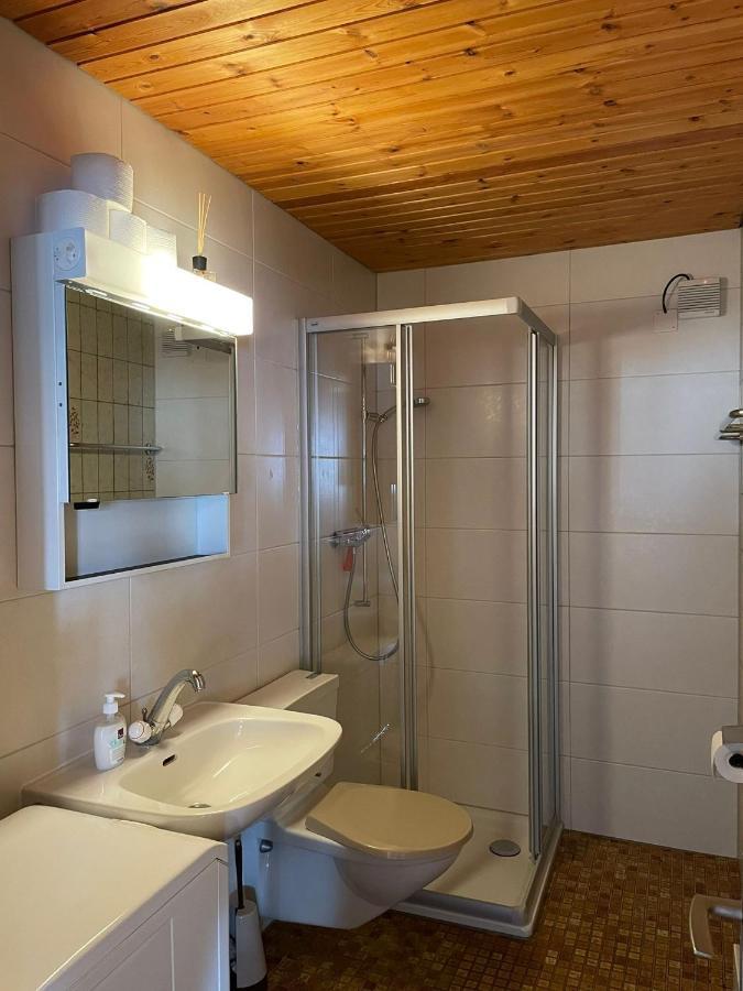 Gemuetliche Wohnung Mit Traumaussicht! Albinen エクステリア 写真