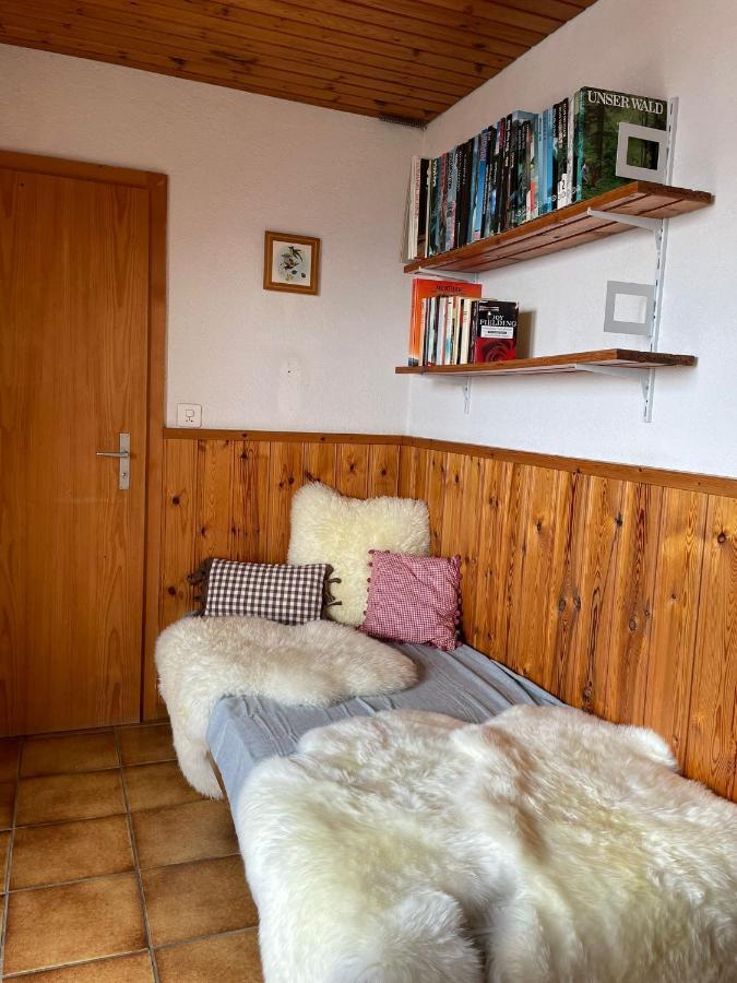 Gemuetliche Wohnung Mit Traumaussicht! Albinen エクステリア 写真