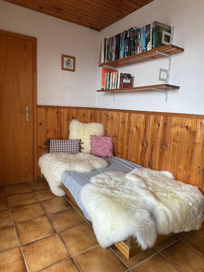 Gemuetliche Wohnung Mit Traumaussicht! Albinen エクステリア 写真